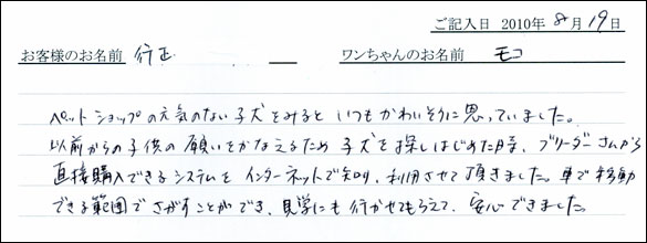 子犬お客様の声