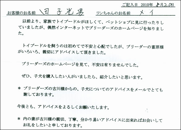 子犬お客様の声