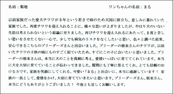 子犬お客様の声