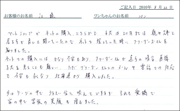 子犬お客様の声