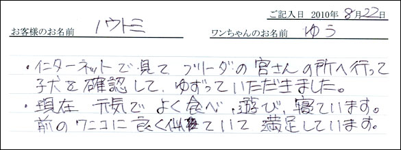 子犬お客様の声