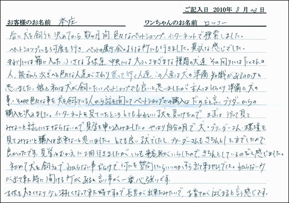子犬お客様の声