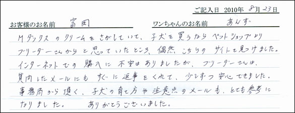 子犬お客様の声