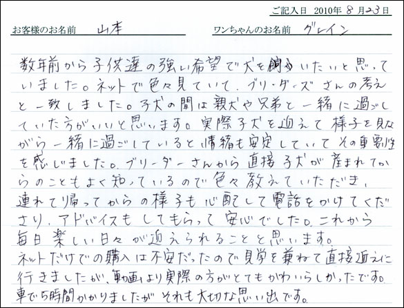 子犬お客様の声