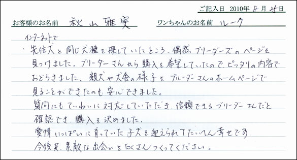 子犬お客様の声