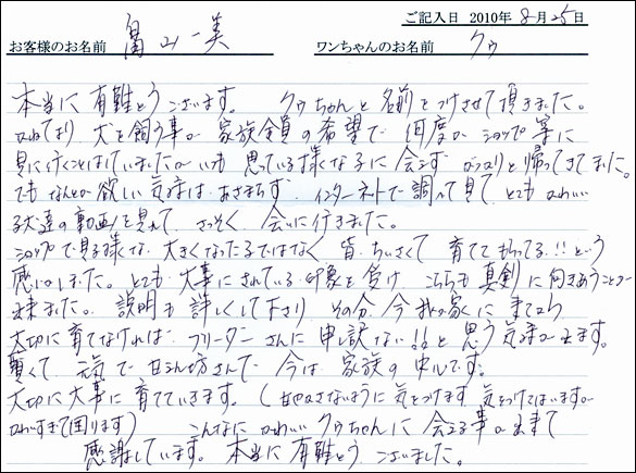 子犬お客様の声