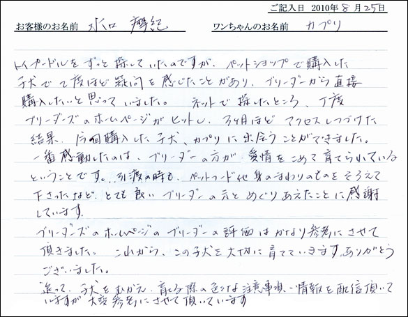 子犬お客様の声
