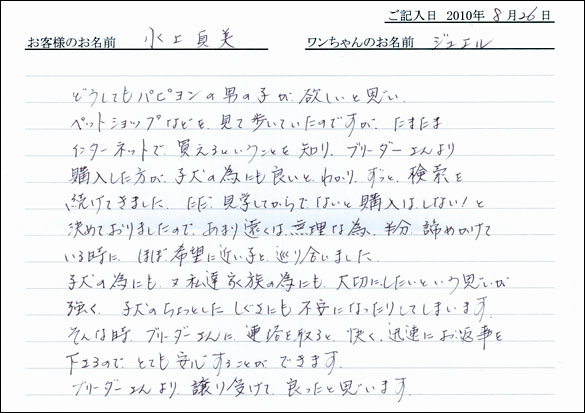 子犬お客様の声