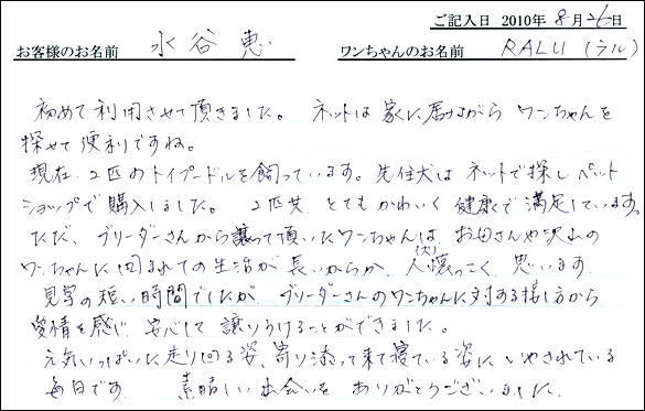 子犬お客様の声