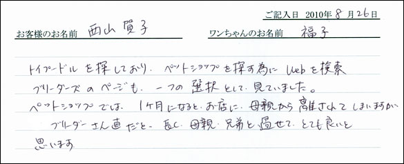 子犬お客様の声