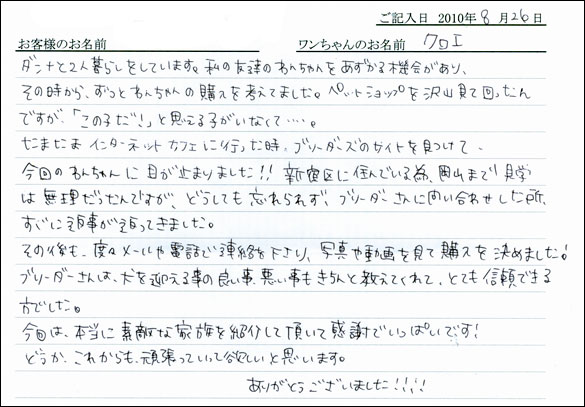 子犬お客様の声