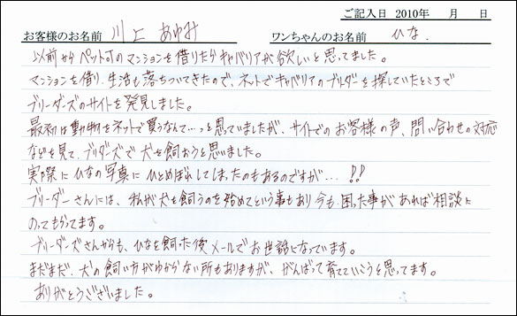 子犬お客様の声