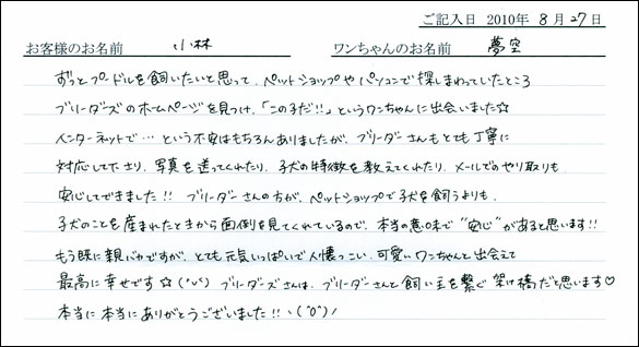 子犬お客様の声
