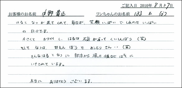 子犬お客様の声