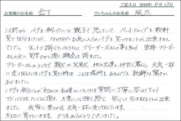 子犬お客様の声