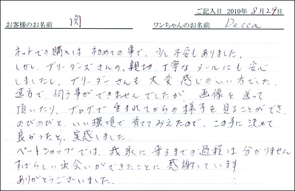 子犬お客様の声