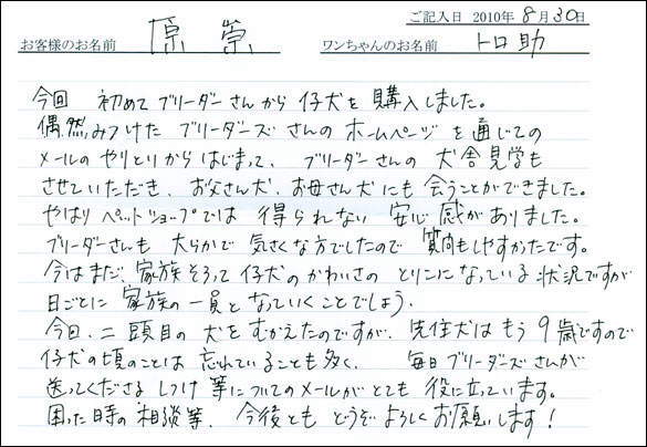 子犬お客様の声