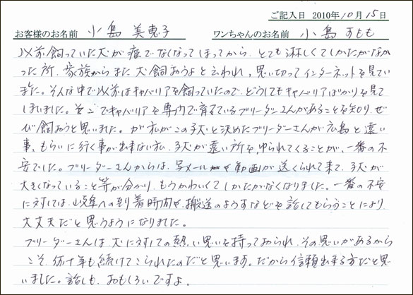 コッカーお客様の声