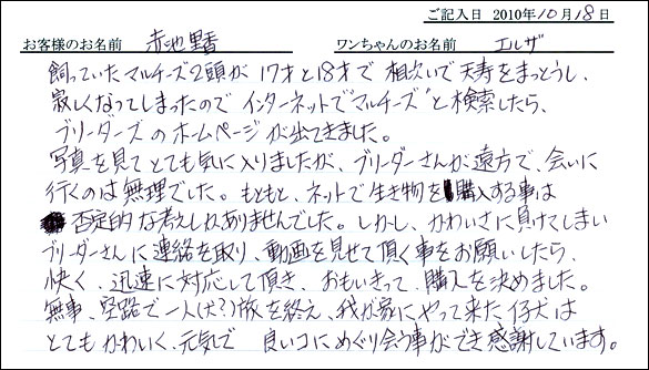 コッカーお客様の声