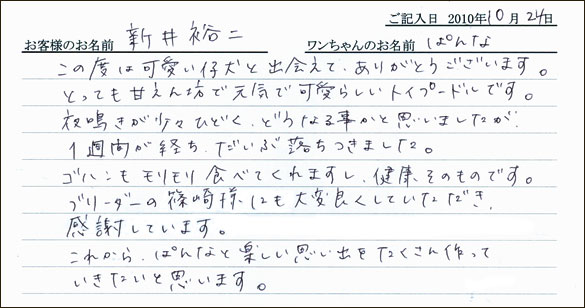 コッカーお客様の声