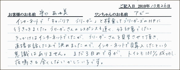 コッカーお客様の声