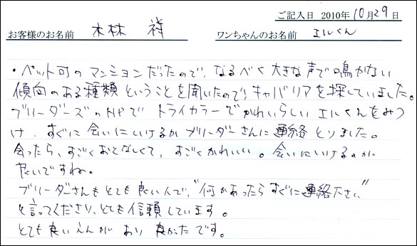 コッカーお客様の声