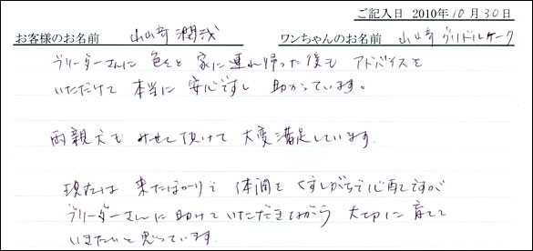 コッカーお客様の声