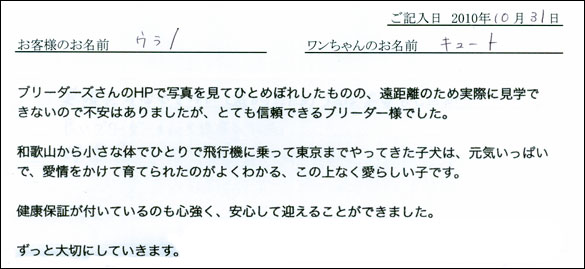 コッカーお客様の声