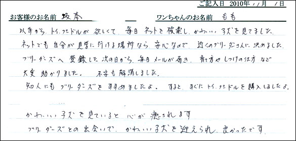 コッカーお客様の声