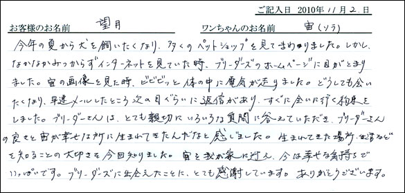 コッカーお客様の声