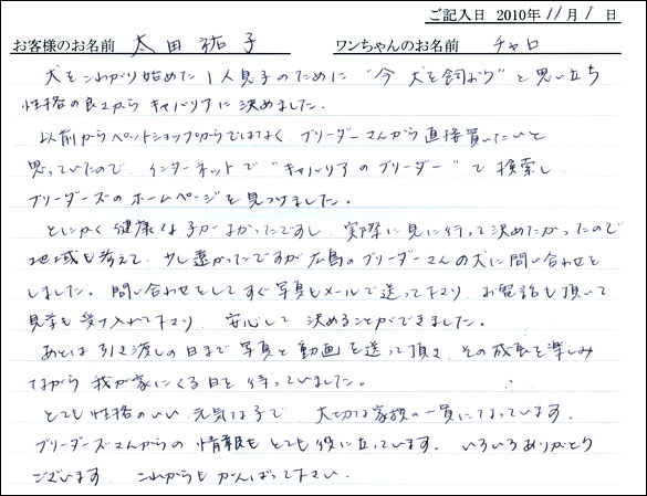 コッカーお客様の声