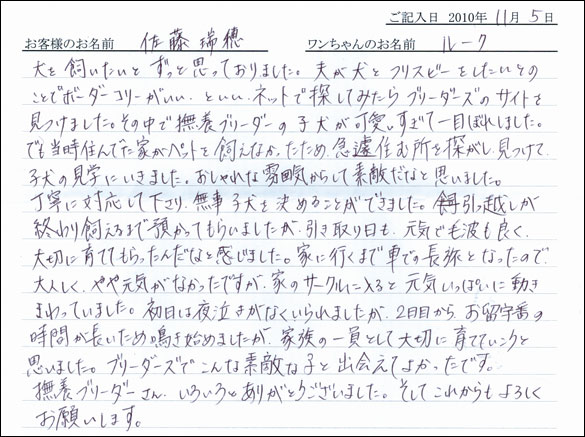 コッカーお客様の声