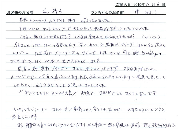 コッカーお客様の声