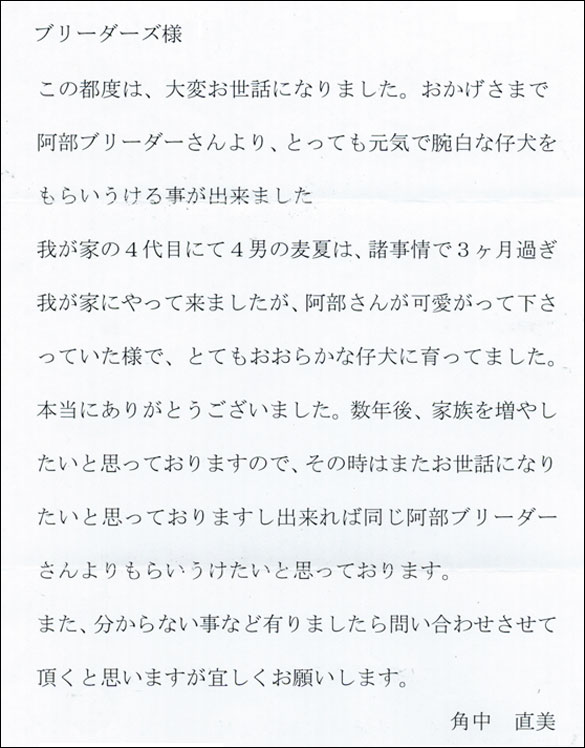 コッカーお客様の声
