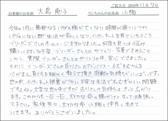 コッカーお客様の声