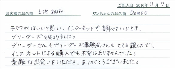 コッカーお客様の声