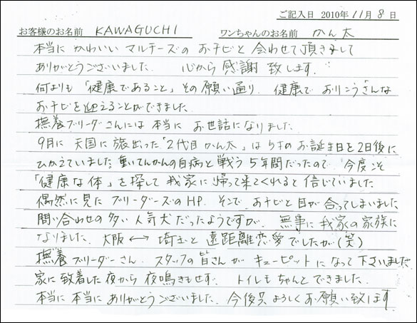 コッカーお客様の声