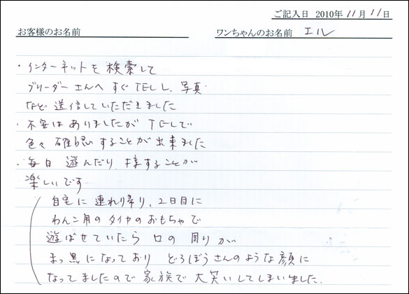 コッカーお客様の声