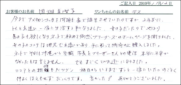 コッカーお客様の声