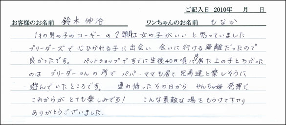 コッカーお客様の声