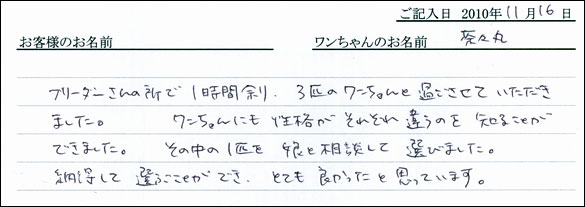 コッカーお客様の声