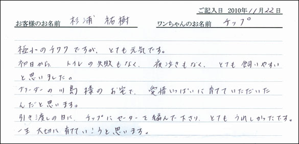 コッカーお客様の声