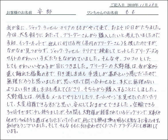 コッカーお客様の声