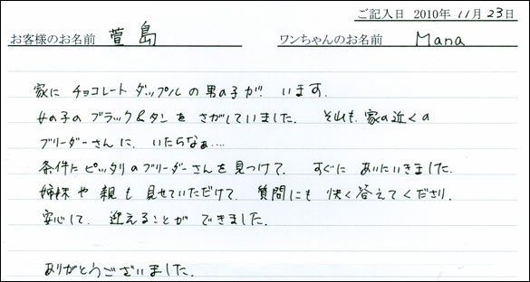 コッカーお客様の声