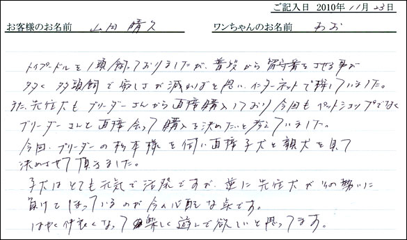 コッカーお客様の声