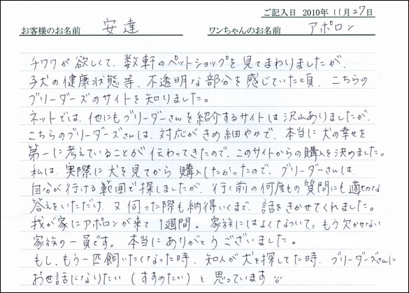 コッカーお客様の声