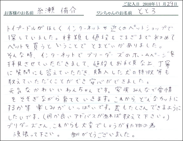 コッカーお客様の声