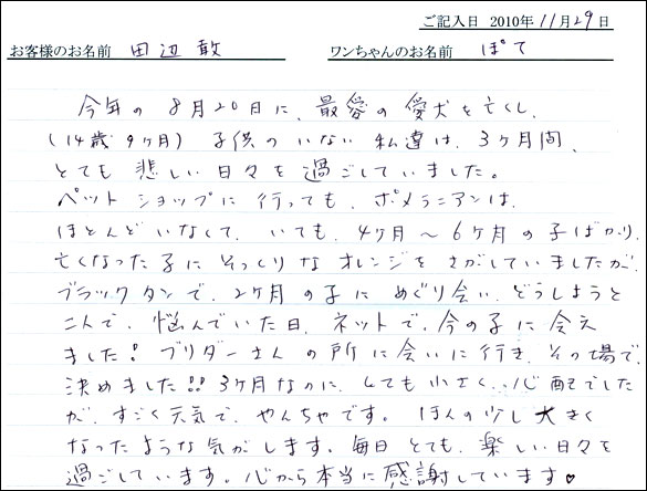 コッカーお客様の声