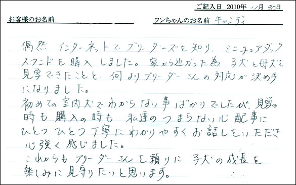 コッカーお客様の声