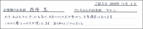 コッカーお客様の声